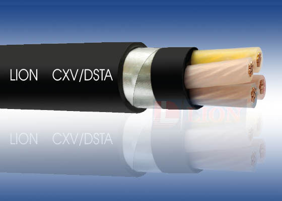 các loại cáp ngầm hạ thế cxv/dsta